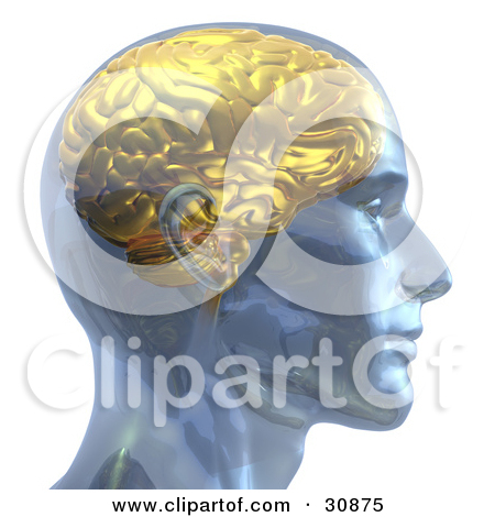 Clipart Illustration Of A D Rendered Man With A Golden Brain In