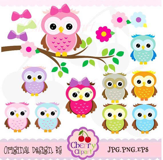 Girly Owl Clip Art   Cute  Cute Owls Digital Clipart Elements Set No
