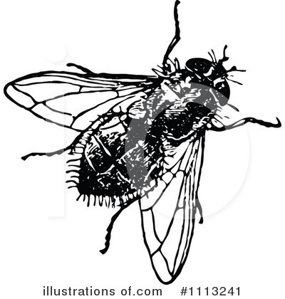 House Fly Clipart  1113241 By Prawny Vintage   Royalty Free  Rf  Stock