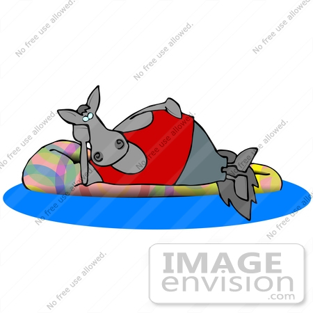Of A Lazy Horse Relaxing On An Inner Tube In A Swimming Pool By Djart
