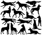Wolf Pack Illustrations And Clipart  69 Wolf Pack Royalty Free