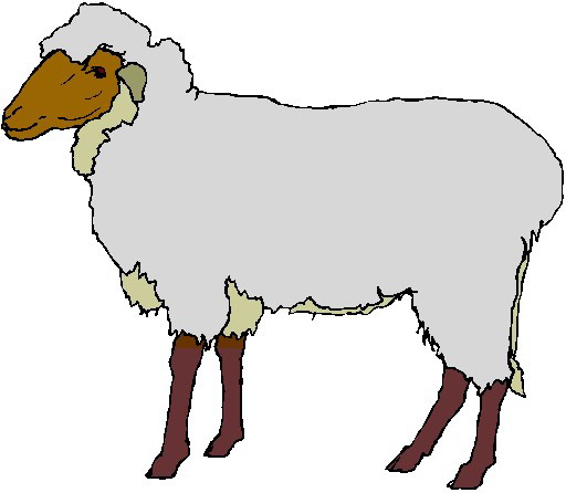 Lamb Clipart Lamb Clipart