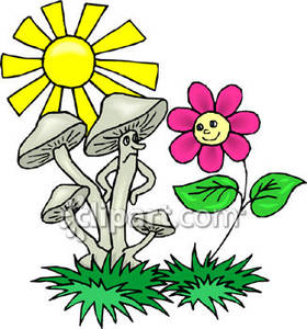 Sad Mushroom And A Smiling Flower On A Sunny Day   Royalty Free