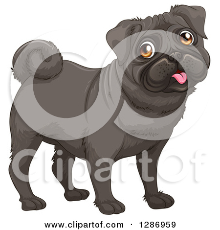 Clipart Of A Happy Black Pug Dog   Royalty Free Vector Illustration By