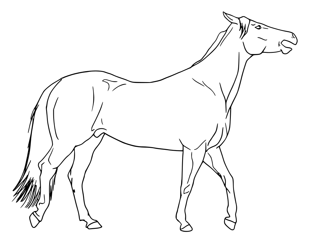 Free Coloring Pages Horses   Coloring Pages   Pictures   Imagixs