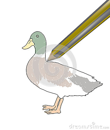 Geese Cartoons Geese Pictures Illustrations And Vector Stock Images