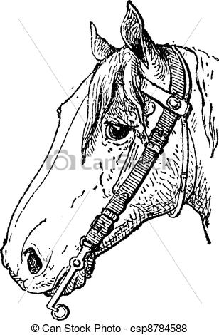 Horse Bit Clipart Vector   Bit A Type Of Horse