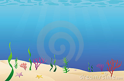 Ocean Floor Sea Bed Stock Photos   Image  23381893