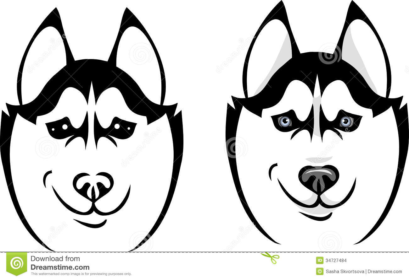 Vector Dog Breed Husky With Bitchy Expression On His Face