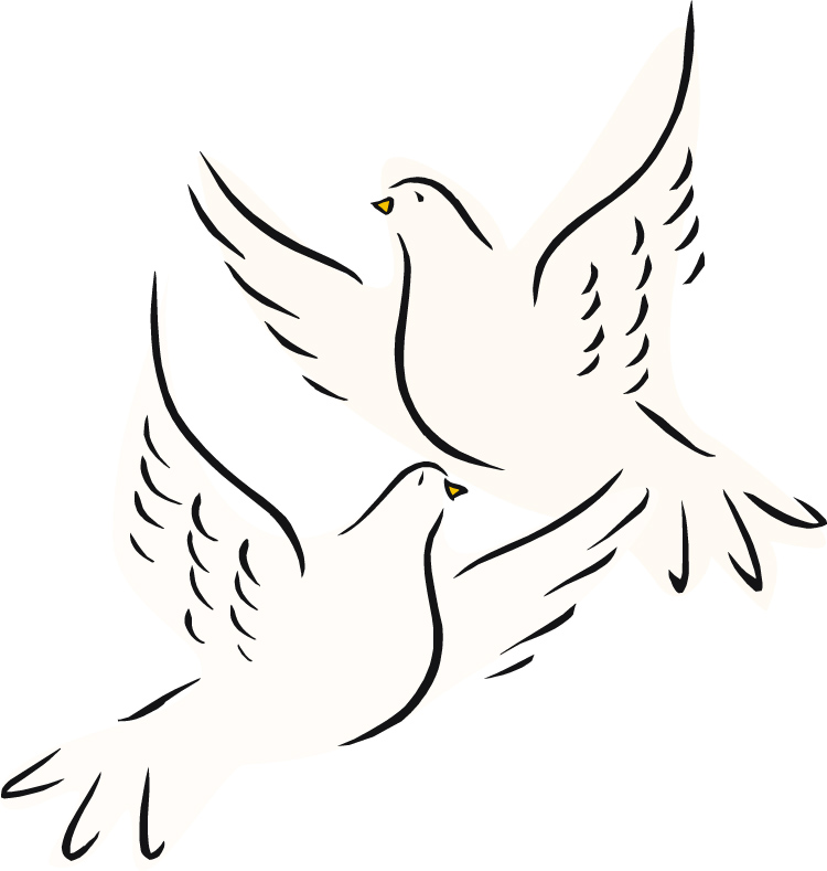 Illustration Of Two Doves The Sacrifice Presented After The Birth Of