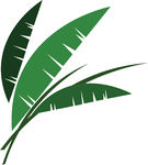 Palm Leaf Clipart   Free Clip Art Images
