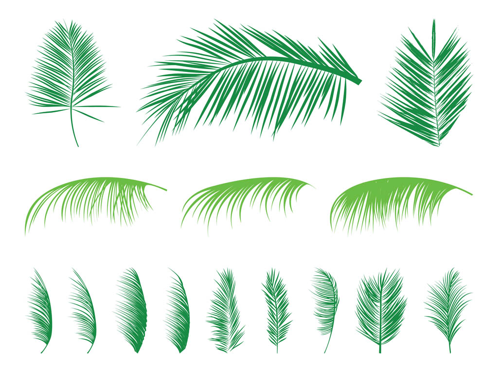 Palm Leaves Silhouettes Set
