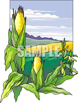Royalty Free Corn Clip Art Farm Produce Clipart