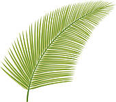 Tropical Palm Leaf Clip Art Palm Leaf  Leaf Of Palm Tree