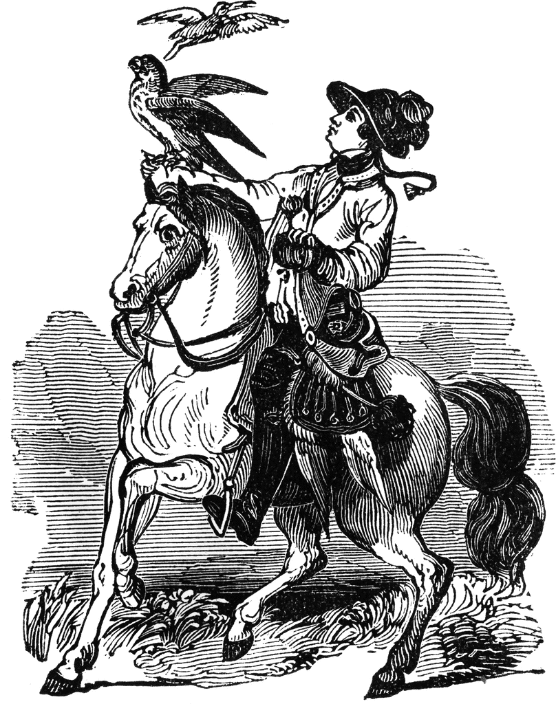 Woman On Horseback   Clipart Etc