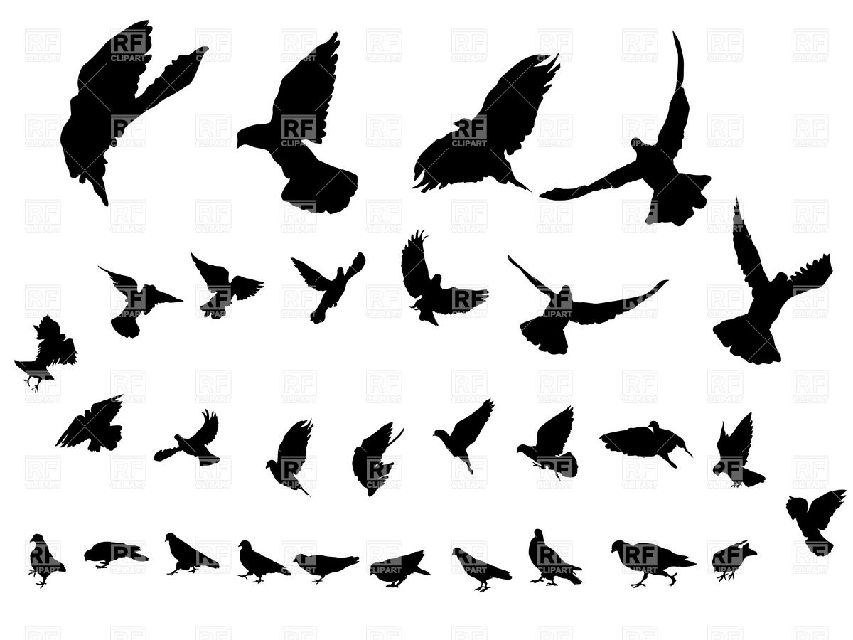 Flying Dove Silhouettes 6741 Silhouettes Outlines Download Royalty