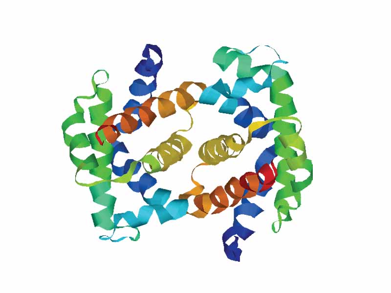 Protein Structure Clipart Protein Structure