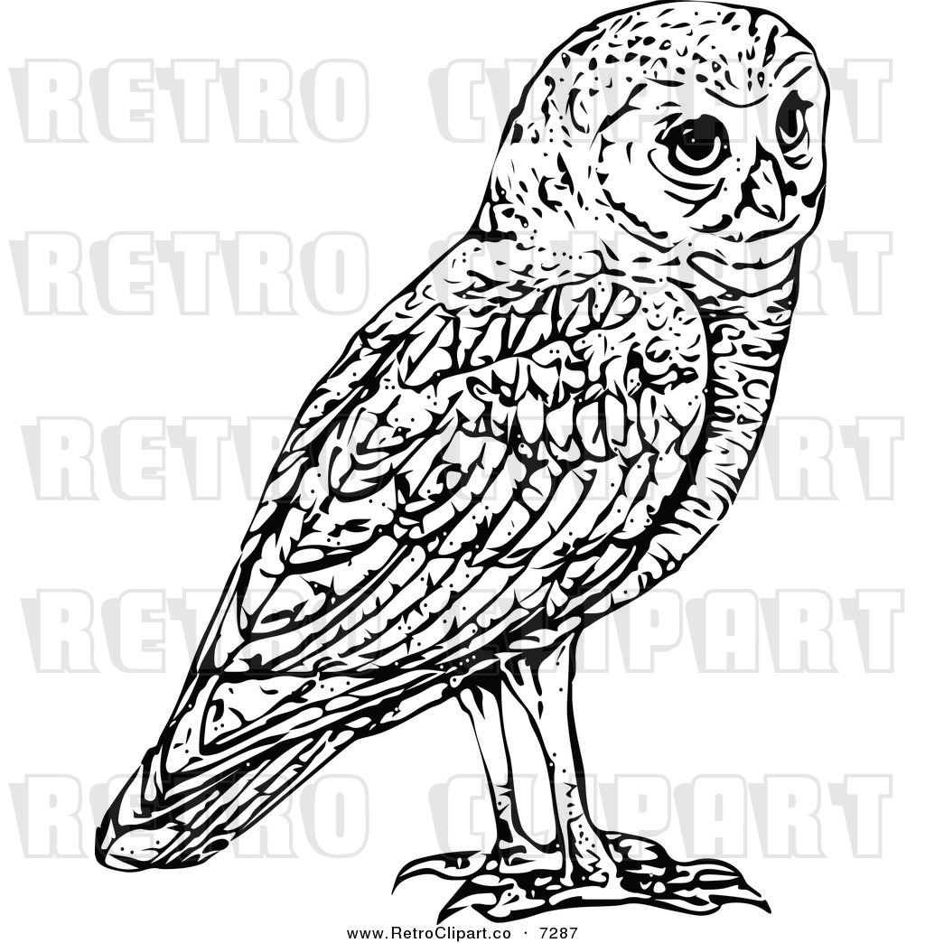 Retro Black And White Owl Retro Clip Art Prawny Vintage