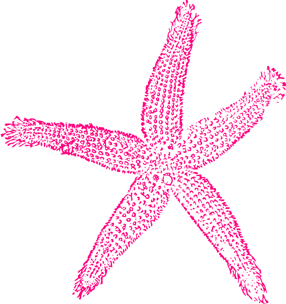 Starfish Clip Art At Clker Com   Vector Clip Art Online Royalty Free