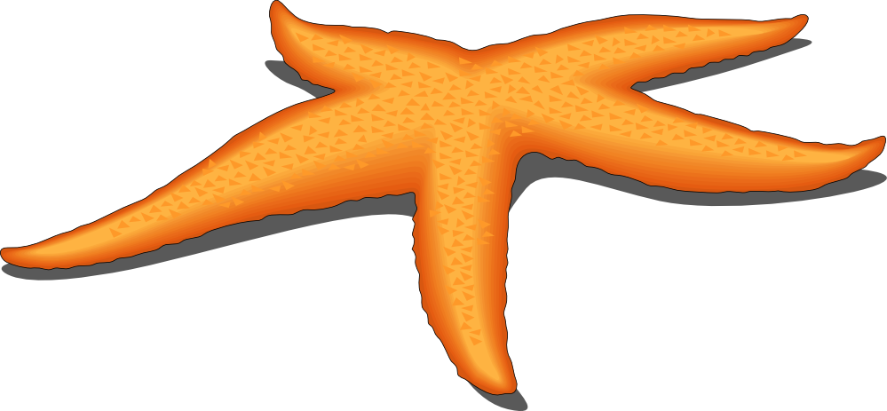 Starfish Clipart Black And White   Clipart Panda   Free Clipart Images