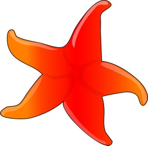 Starfish Clipart Image   Red And Orange Starfish