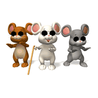 Three Blind Mice  Three Blind Mice    My Biotech Life