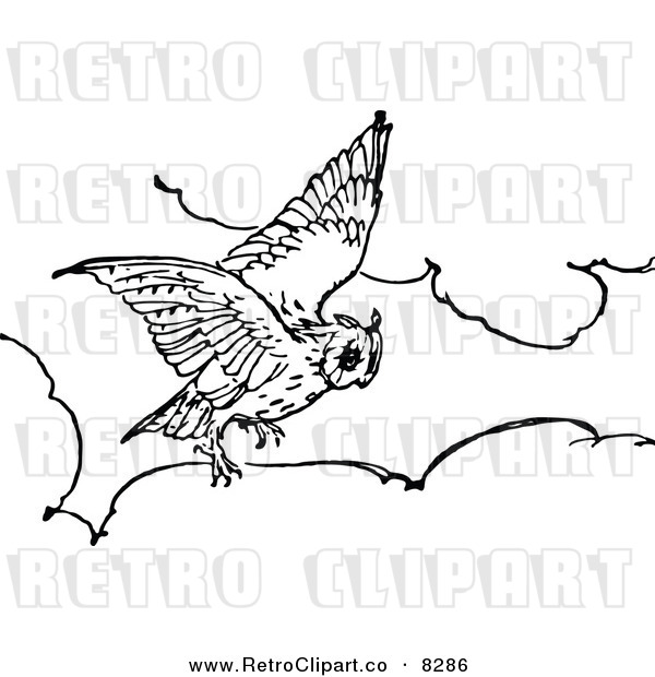 Vector Clipart Of A Retro Black And White Owl Flying Above Clouds By    