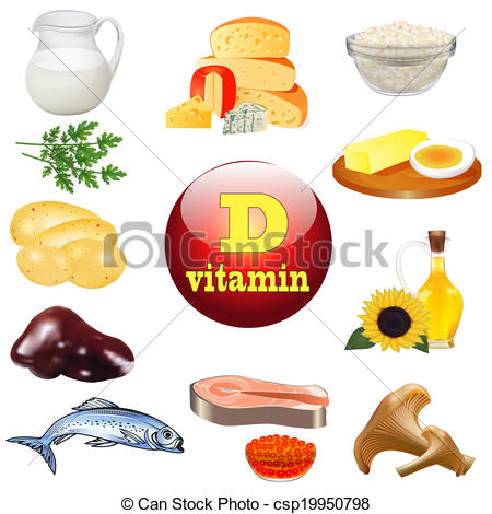 Vitamin D And Plant And Animal Products   Csp19950798