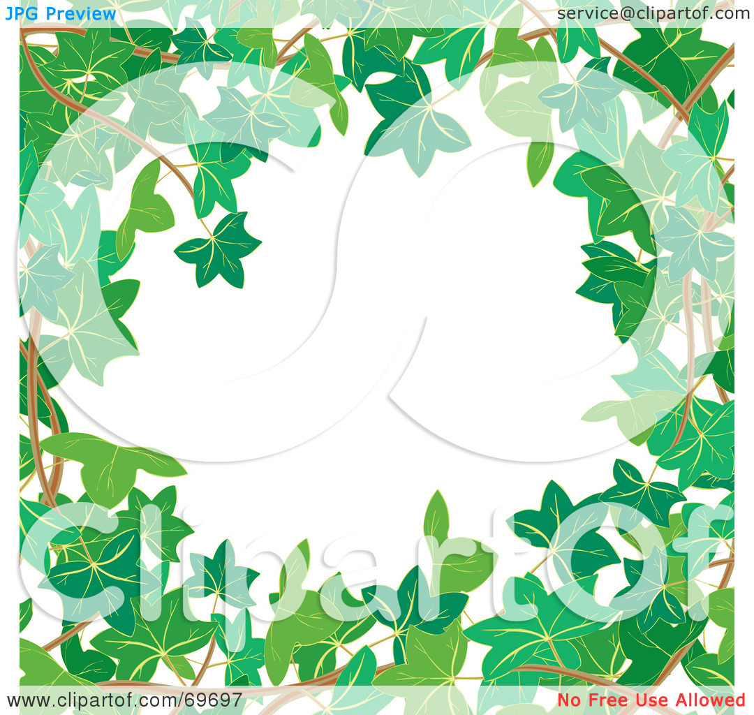 White Background Bordered In Branches And Green Ivy Leaves By Milsiart