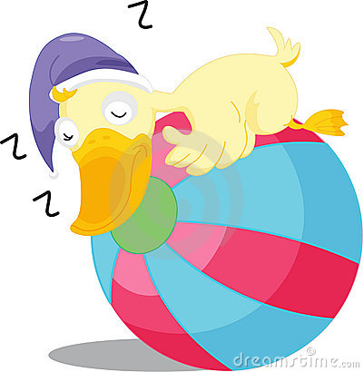An Illustration Of A Duck Sleeping On A Beach Ball