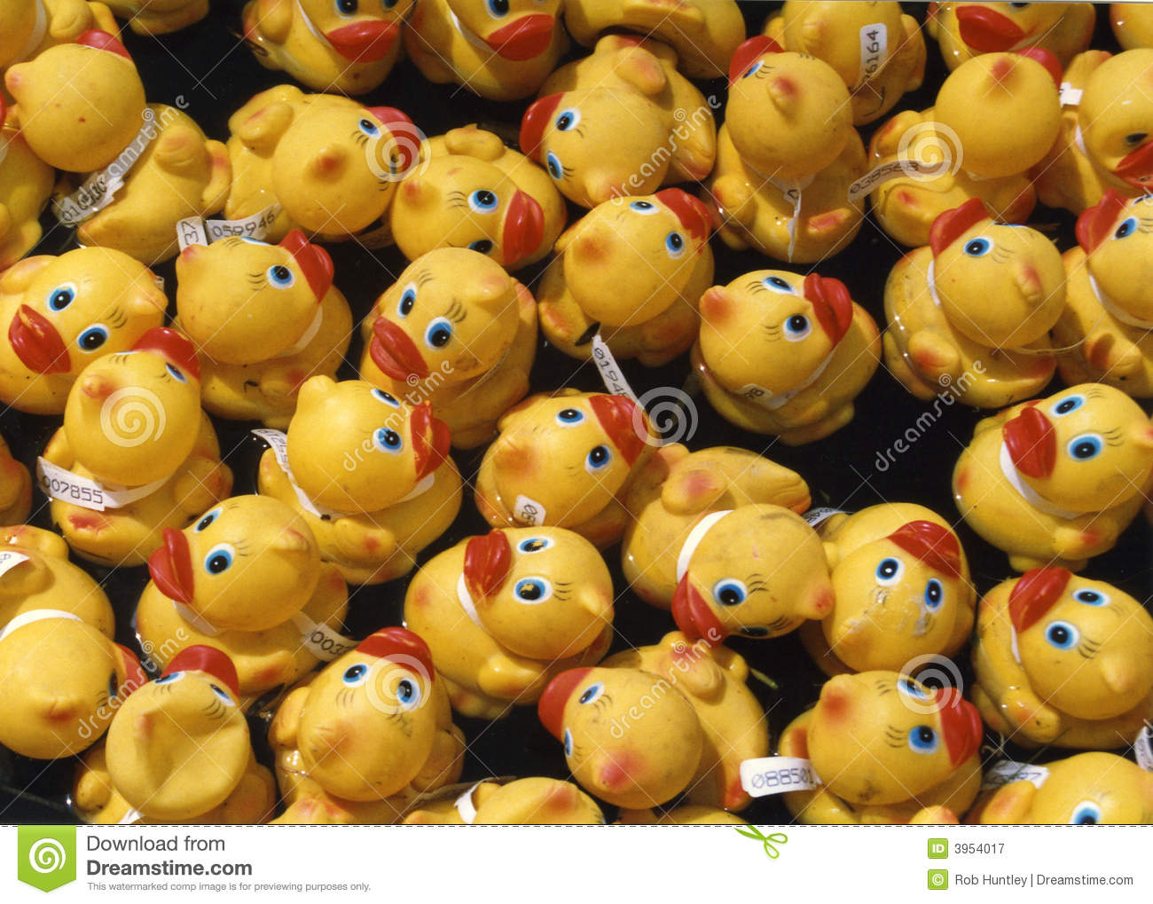 Annual Rubber Duck Race In The Rideau Canal Ottawa Ontario Canada
