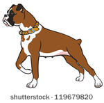 Boxer Dog Clip Art Download 628 Clip Arts  Page 1    Clipartlogo Com