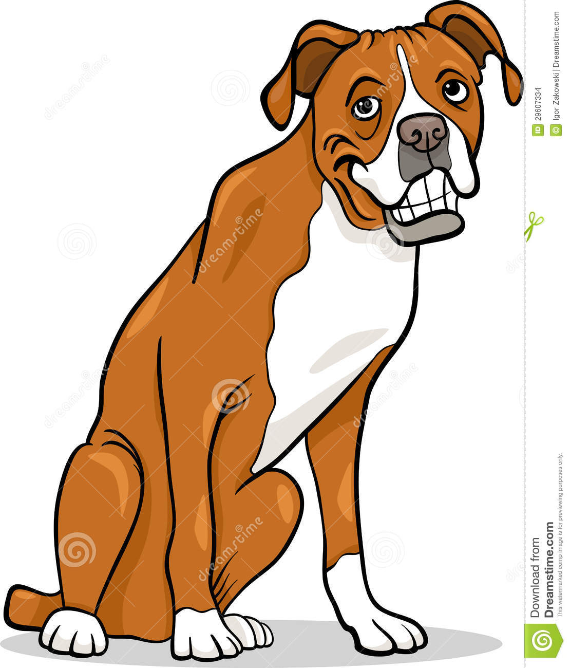Boxer Purebred Dog Cartoon Illustration Stock Images   Image  29607334