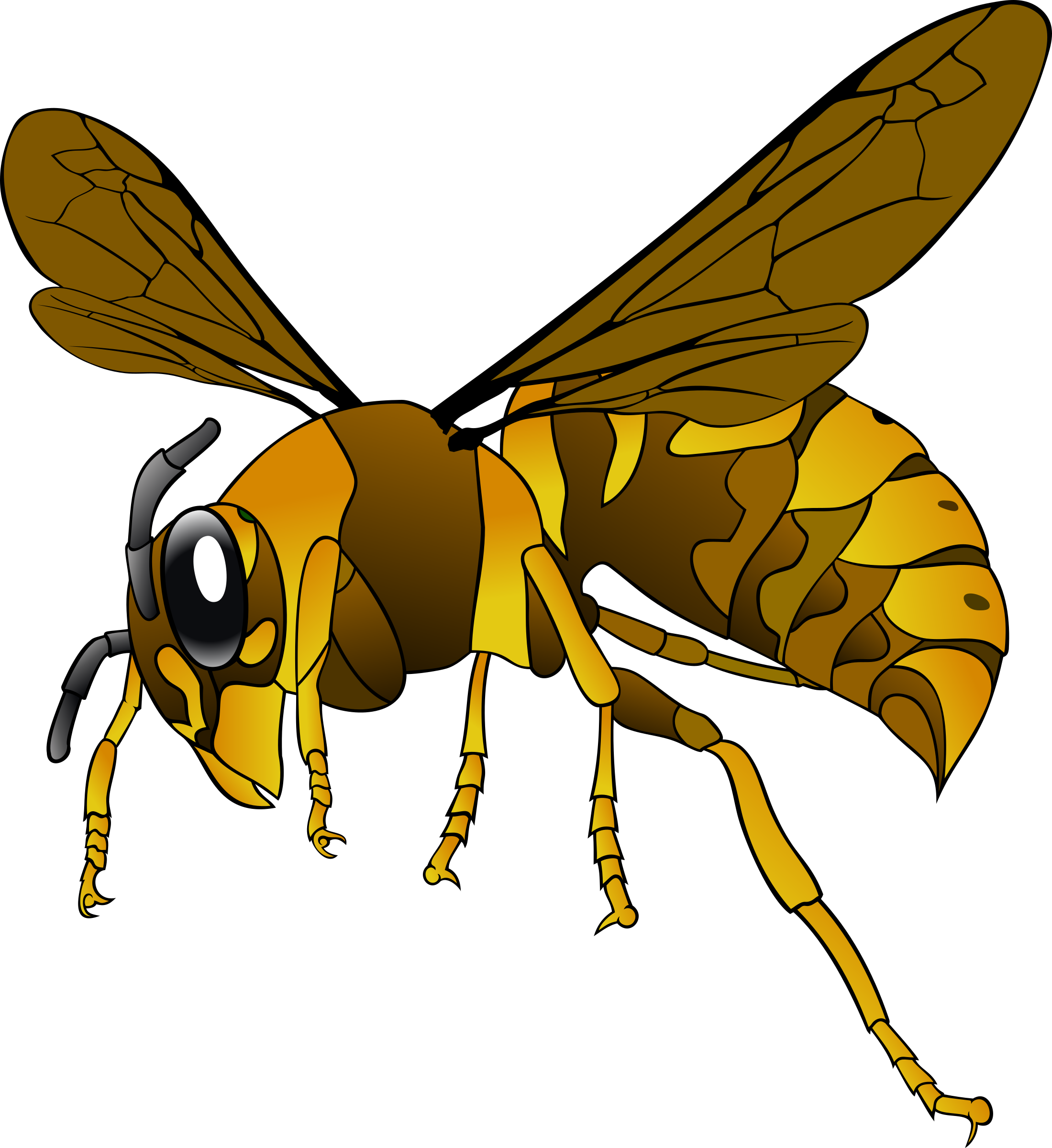 Brown Yellow Hornet By Binameusl