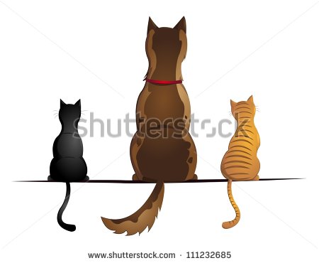 Cat Back Stock Photos Illustrations And Vector Art
