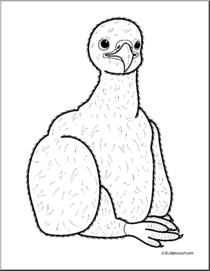 Clip Art  Baby Animals  Eagle Eaglet  Coloring Page    Preview 1
