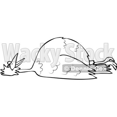 Clipart Outlined Dead Bird On Its Back   Royalty Free Vector