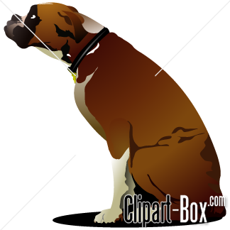 Clipart Sitting Boxer Dog   