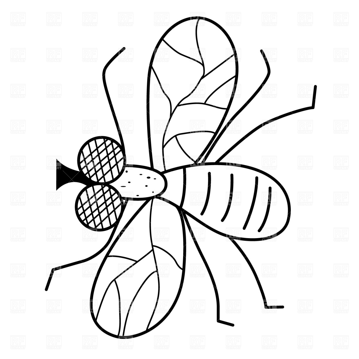 Funny Fly 1455 Plants And Animals Download Royalty Free Vector Clip