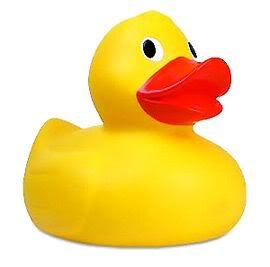 Rubber Duck Graphics Code   Rubber Duck Comments   Pictures