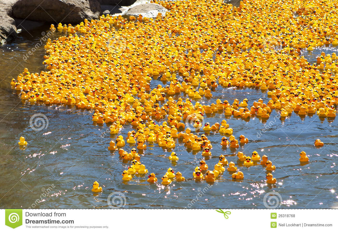Rubber Duck Race Editorial Stock Photo   Image  26318768