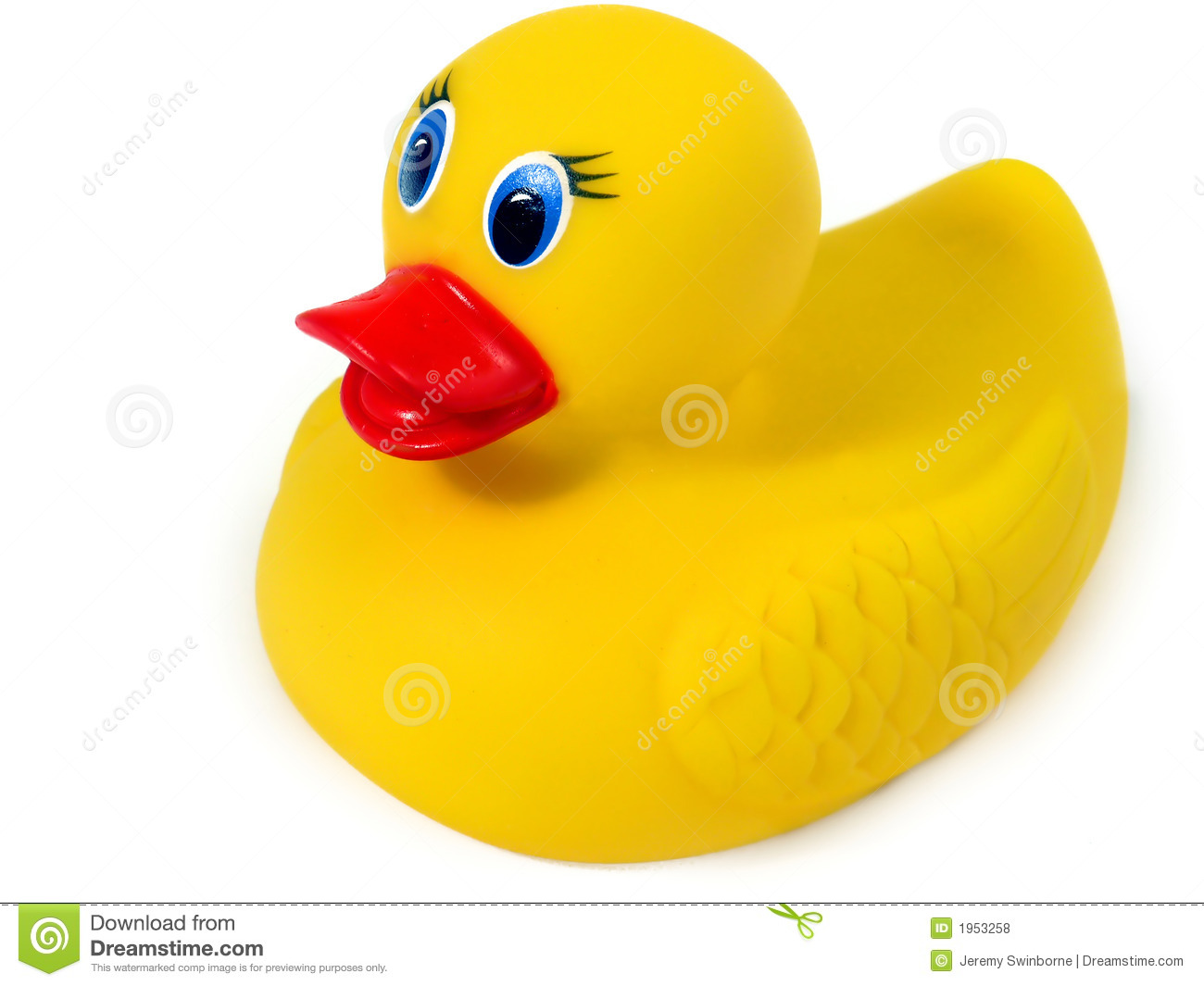 Rubber Ducky Rubber Ducky Or Duck On A Pond Royalty Free Clip Art