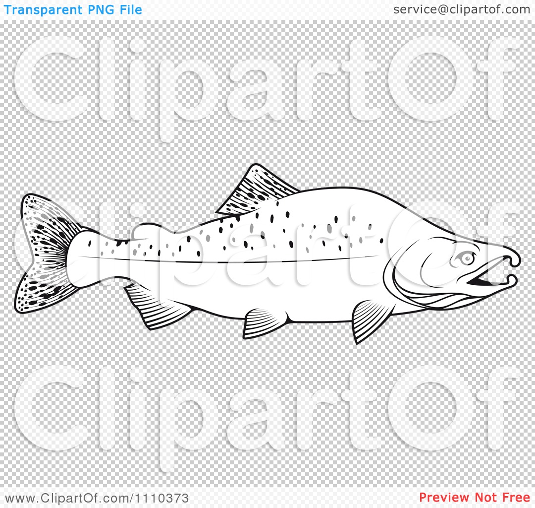 Salmon Chum Clipart Http   Www Clipartof Com Portfolio Seamartini