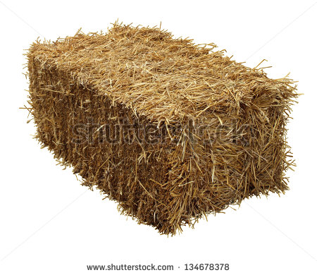 Bale Of Hay Isolated On A White Background As An Agriculture Farm And