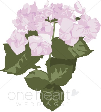 Pink Hydrangea Clipart