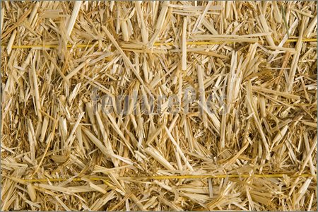 Straw Hay Clipart Picture Of Dry Hay Straw