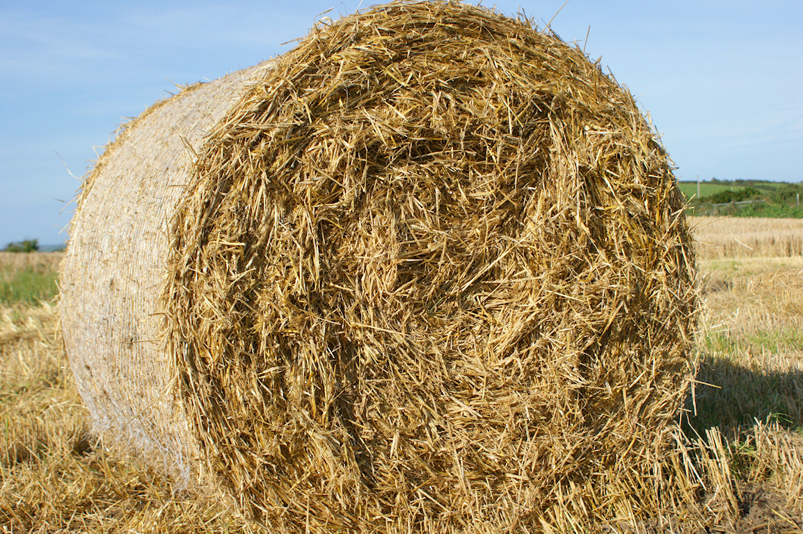 Tagged Agriculture Straw Straw Bales By Free Photo Guy Bookmark The