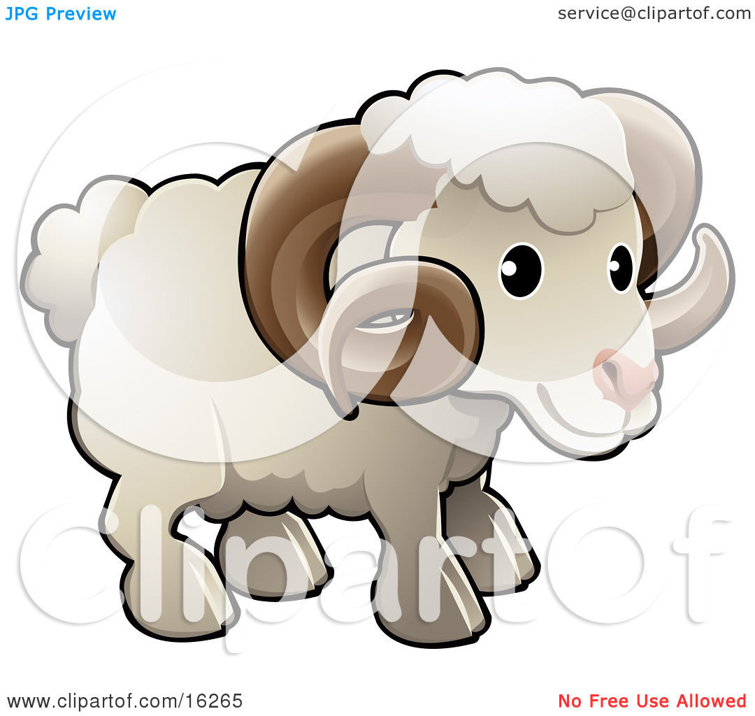 White Male Sheep A Ram With Brown Curly Horns Clipart Illustration