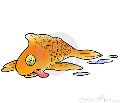 Death Fish Stock Photography   Image  4695672
