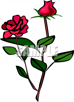 Find Clipart Rose Clipart Image 80 Of 326